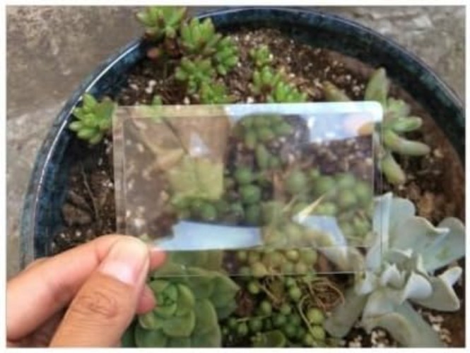 Clear Credit Card Magnifying Lenses, 3X Magnification for Easy Reading
