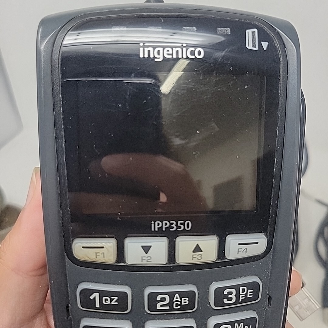 (2) Ingenico iPP350 Credit Card Payment Terminal Set with USB Cable