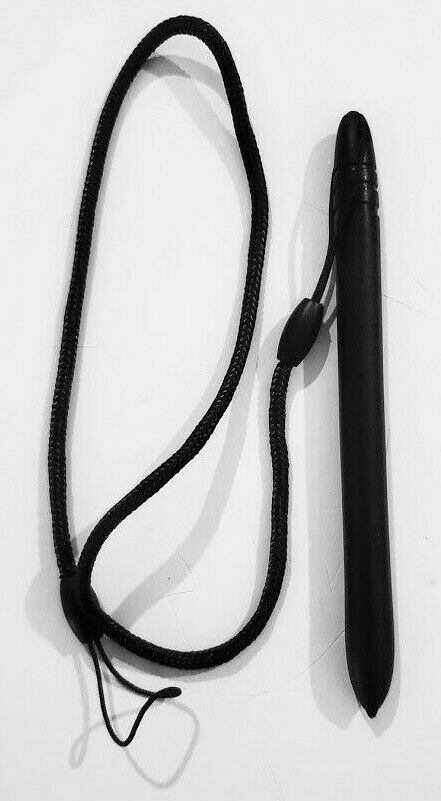 PAX S300 Stylus Set ~ Stylus Pen with mounting bracket