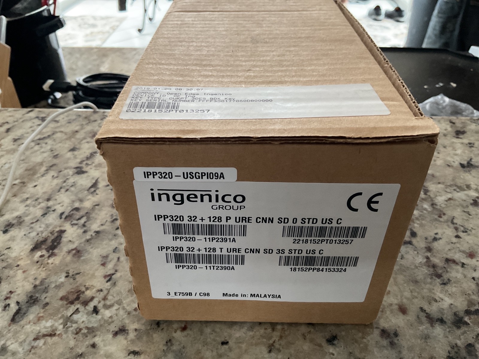Ingenico Ipp300